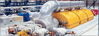 Securing a Large-Scale Power Plant in Central Europe